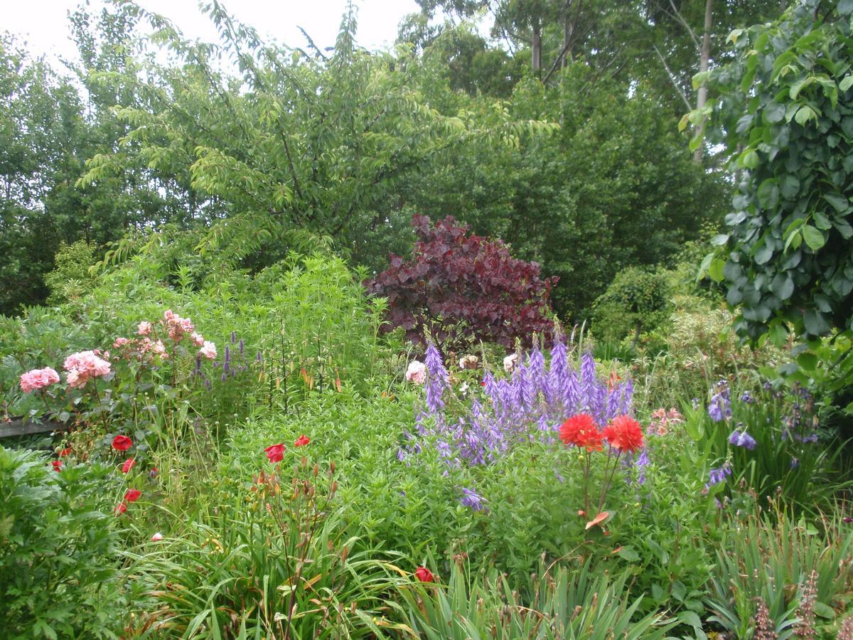 Folster Gardens Bed&Breakfast Invercargill Eksteriør bilde